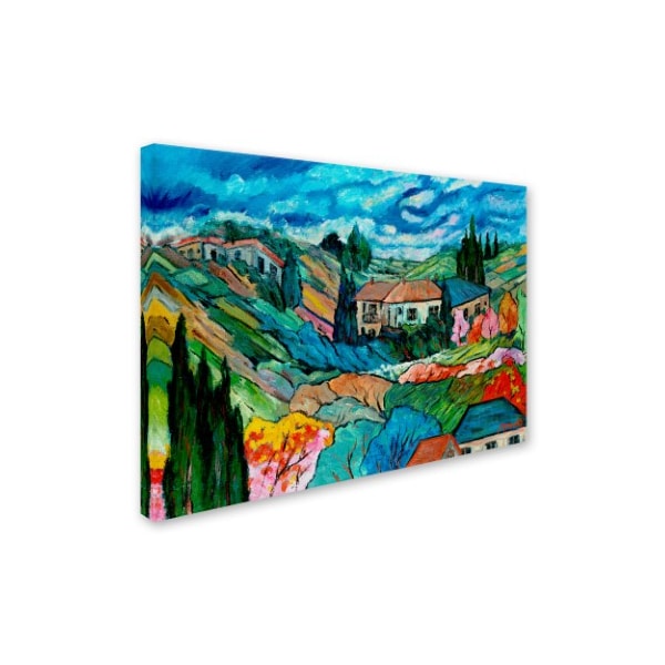Manor Shadian 'Valley House' Canvas Art,14x19